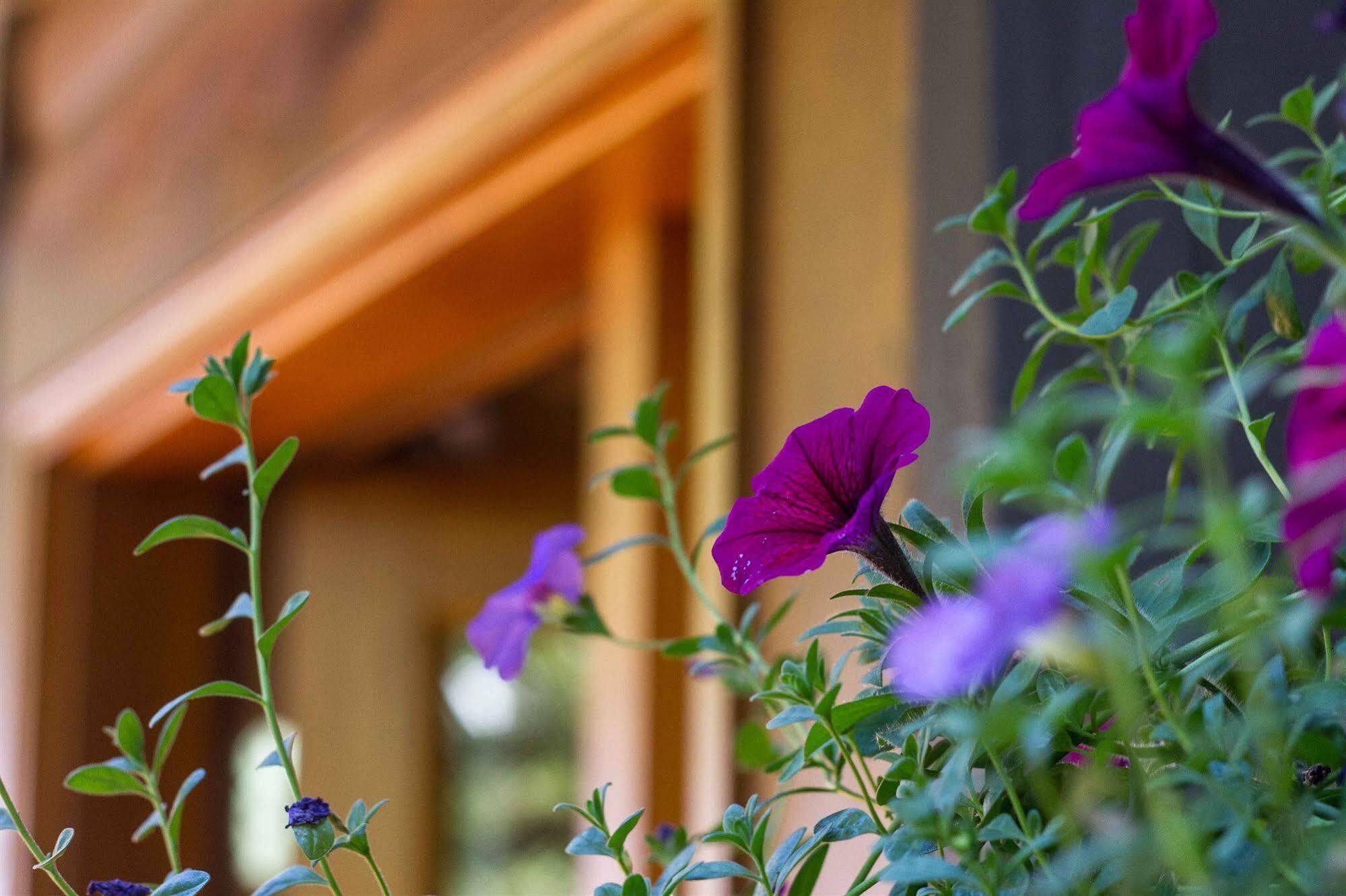 Tranquility Bay Waterfront Inn Sechelt Buitenkant foto